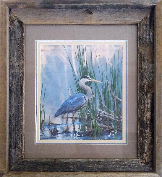 Blue Heron